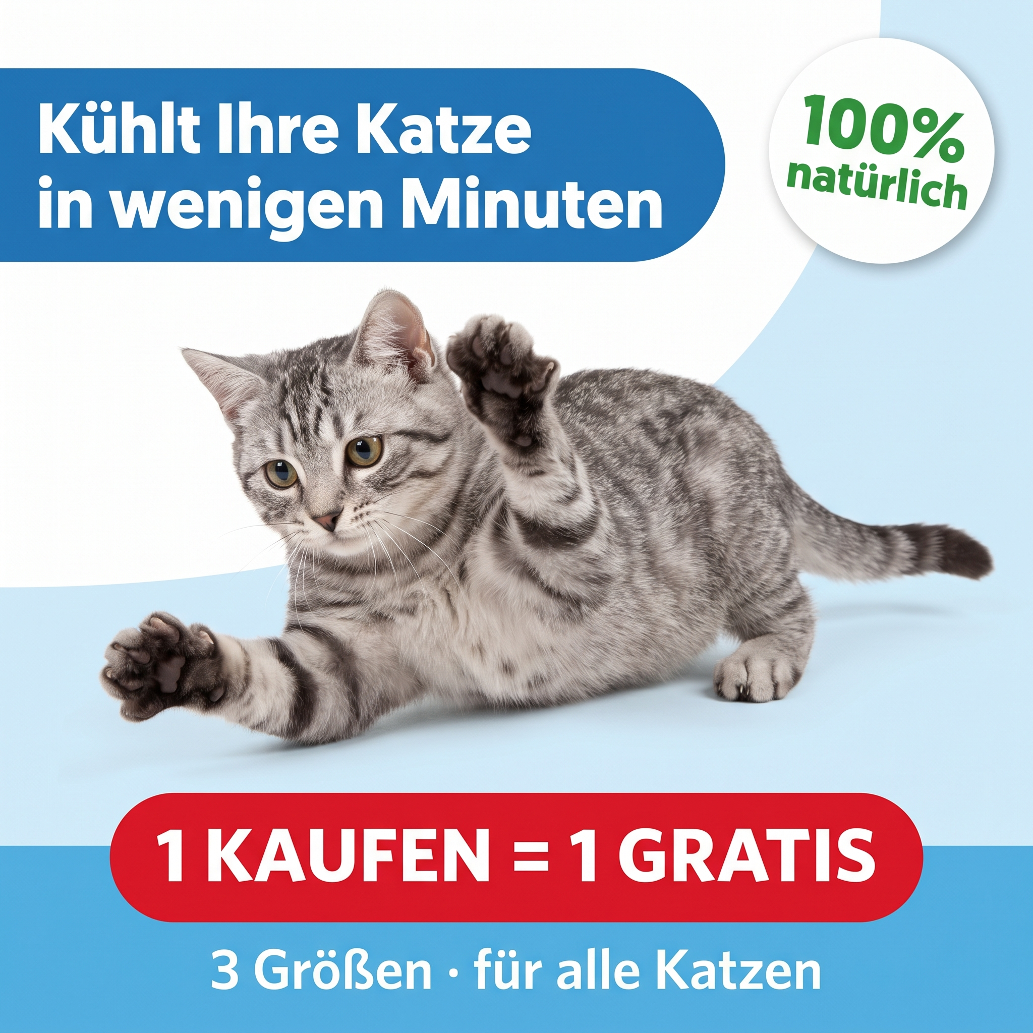 Katze liegt auf der Patoulina Kühlmatte