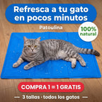 Gato tumbado sobre la esterilla refrescante