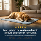 Patoulina chien — Avis Sophie M. Nantes 5 étoiles