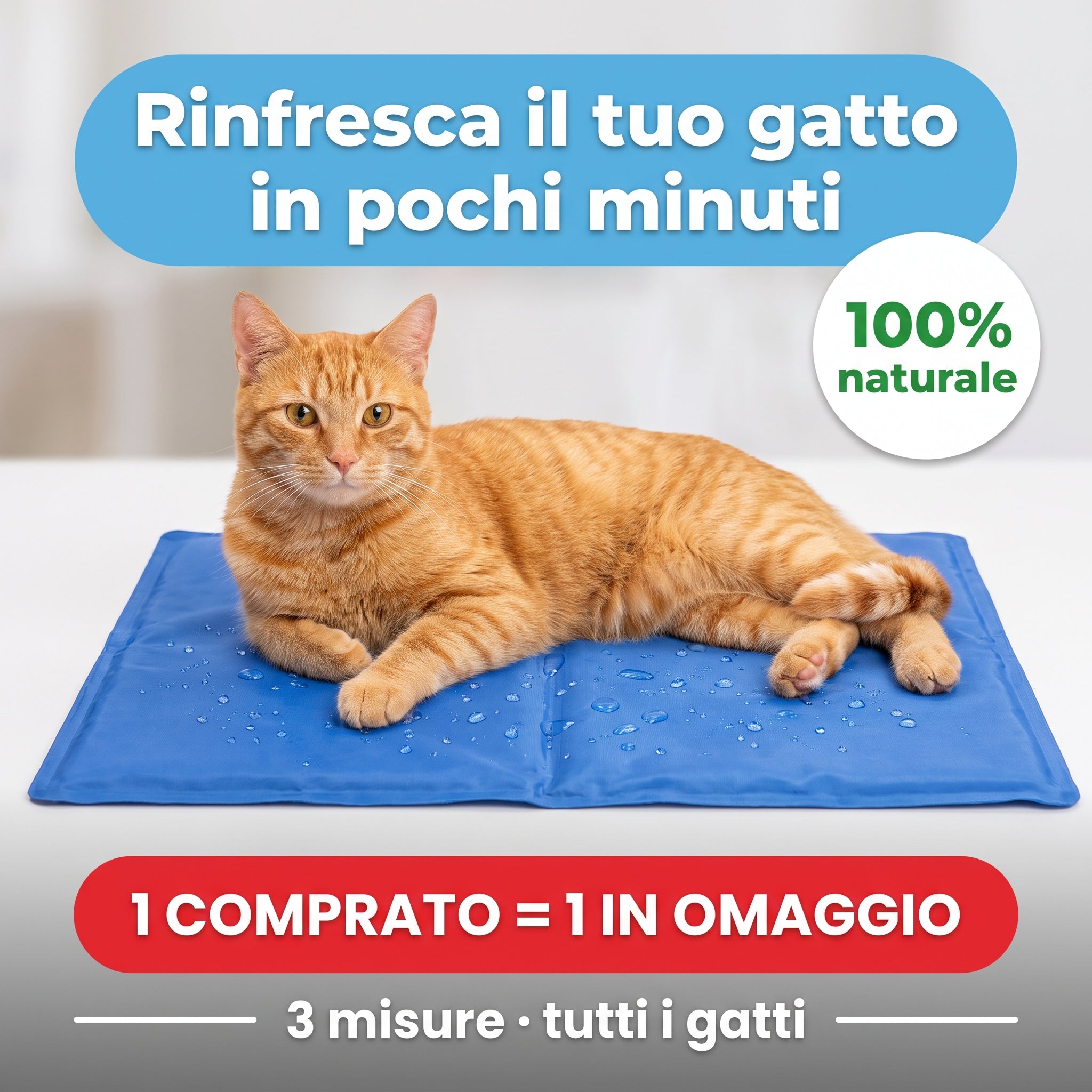 Gatto sdraiato sul tappetino rinfrescante