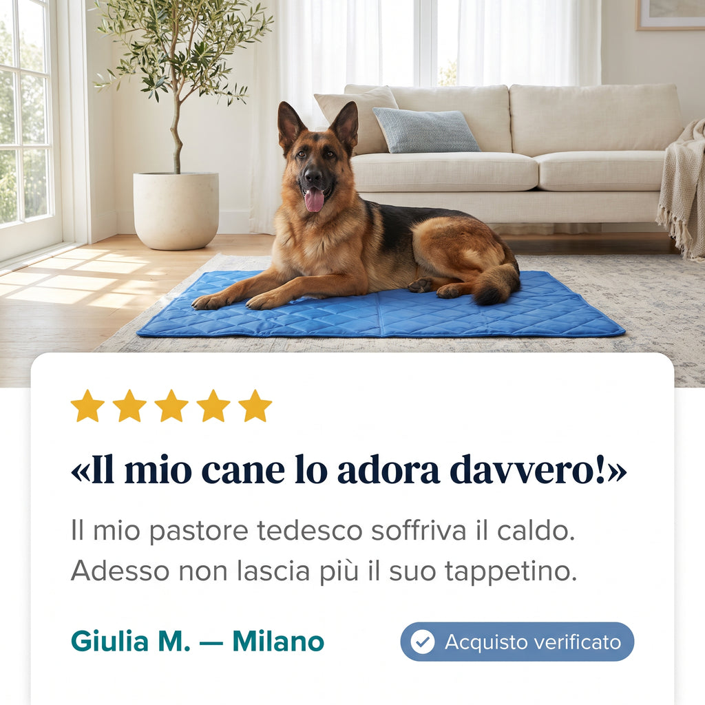 Cinque taglie per cani fino a 50 kg