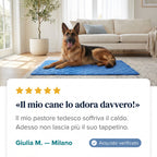 Cinque taglie per cani fino a 50 kg