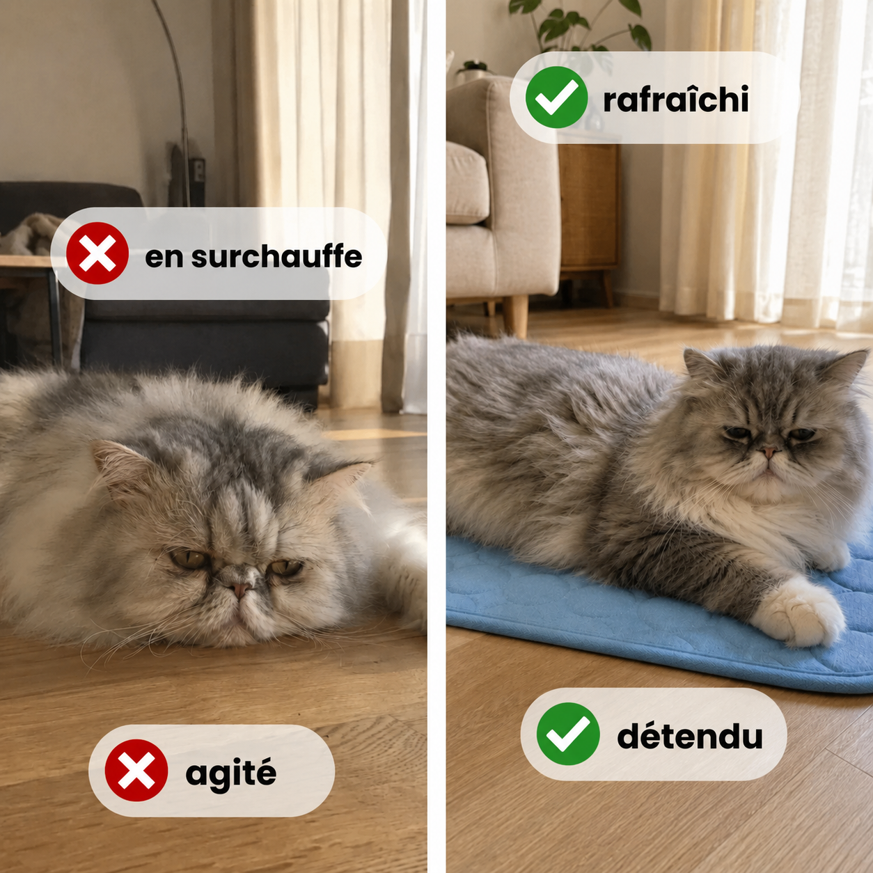 Tapis rafraîchissant pour chat Patoulina, offre 1 acheté 1 offert