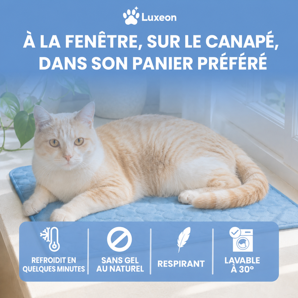 Tapis rafraîchissant pour chat Patoulina, lavable en machine