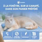 Tapis rafraîchissant pour chat Patoulina, lavable en machine