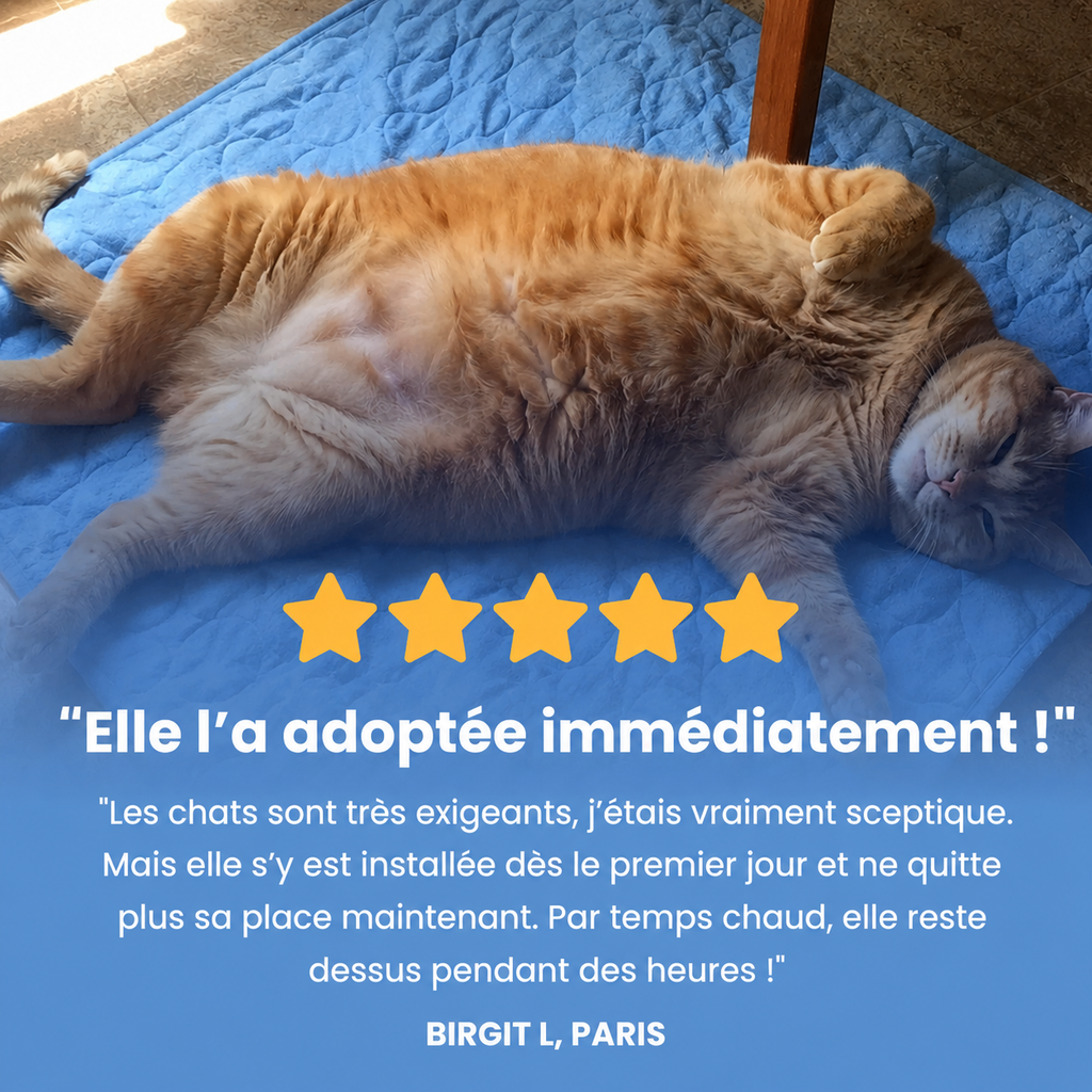 Tapis rafraîchissant chat Patoulina, sûr et sans gel