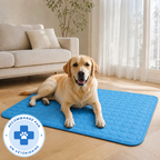 Structure trois couches sans gel du tapis Patoulina pour chien