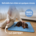 Tapis rafraîchissant Patoulina, tailles pour chien