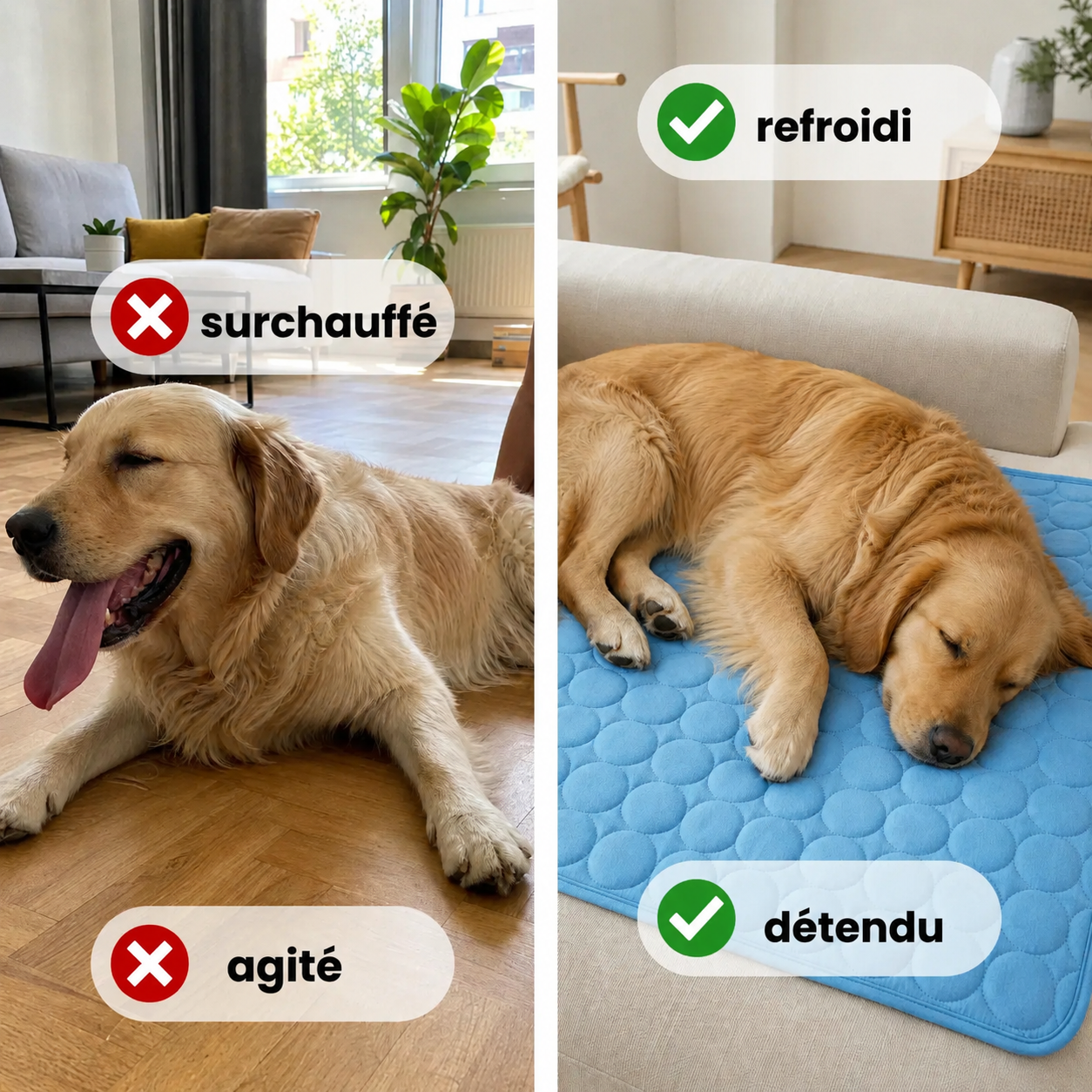 Tapis rafraîchissant chien Patoulina, sans électricité ni gel