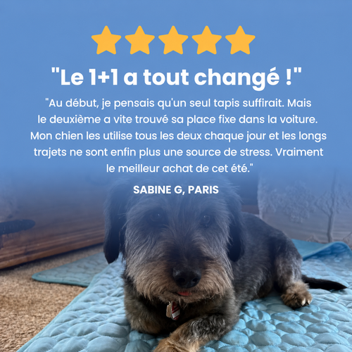Chien allongé sur le tapis rafraîchissant Patoulina