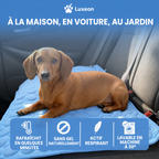 Tapis rafraîchissant pour chien Patoulina, lavable en machine