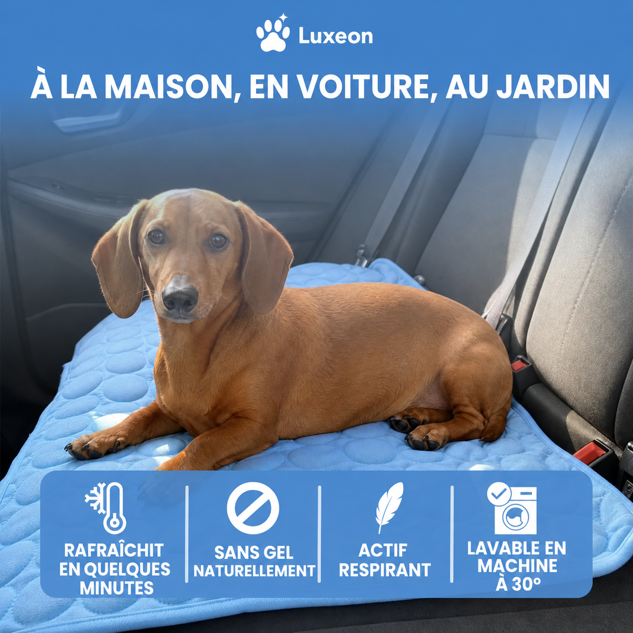 Tapis rafraîchissant pour chien Patoulina, lavable en machine