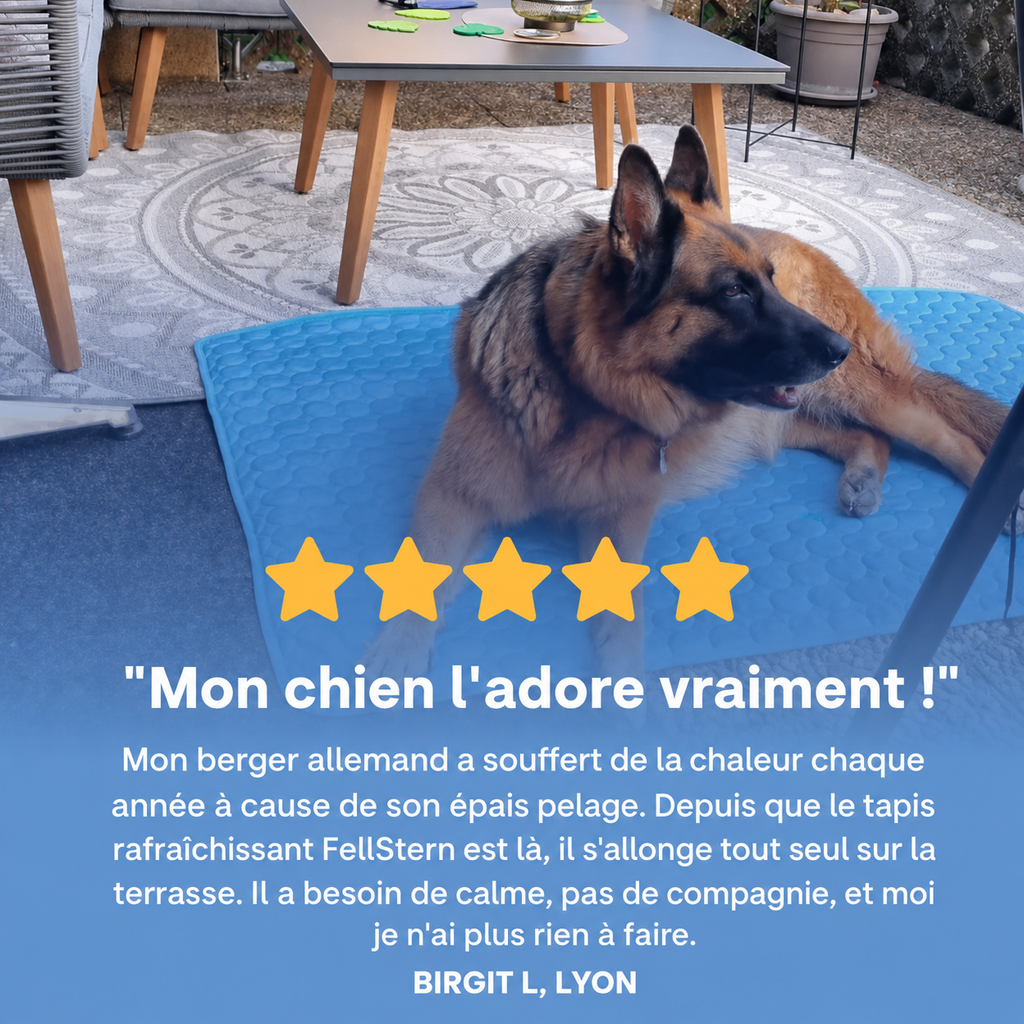 Chien au frais sur son tapis Patoulina en été