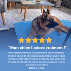 Chien au frais sur son tapis Patoulina en été