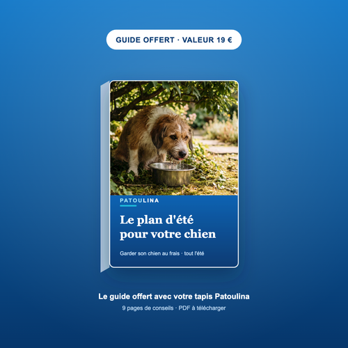 Ebook Le plan d'été pour votre chien — guide PDF Patoulina