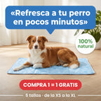 Perro tumbado sobre la esterilla refrescante