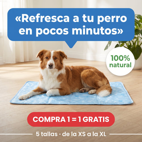 Perro tumbado sobre la esterilla refrescante