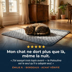 Patoulina chat — Avis Émilie R. Bordeaux 5 étoiles
