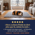 Patoulina cochon d'Inde — Avis Camille P. Toulouse 5 étoiles