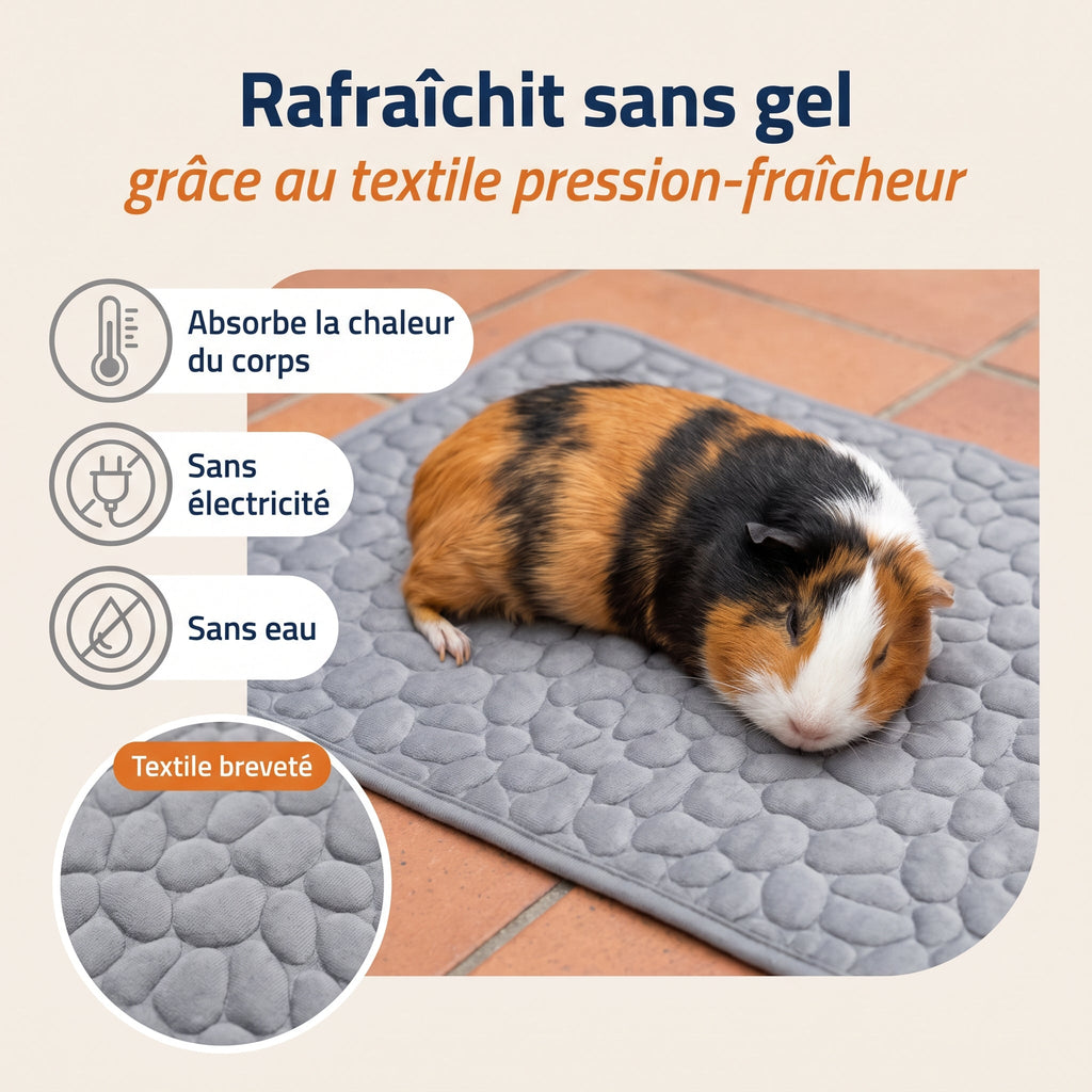 Patoulina cochon d'Inde — Rafraîchit sans gel (textile breveté)
