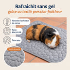 Patoulina cochon d'Inde — Rafraîchit sans gel (textile breveté)