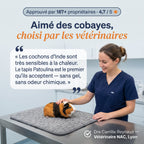 Patoulina cochon d'Inde — véto approuvé (Dre Reynaud, Lyon)
