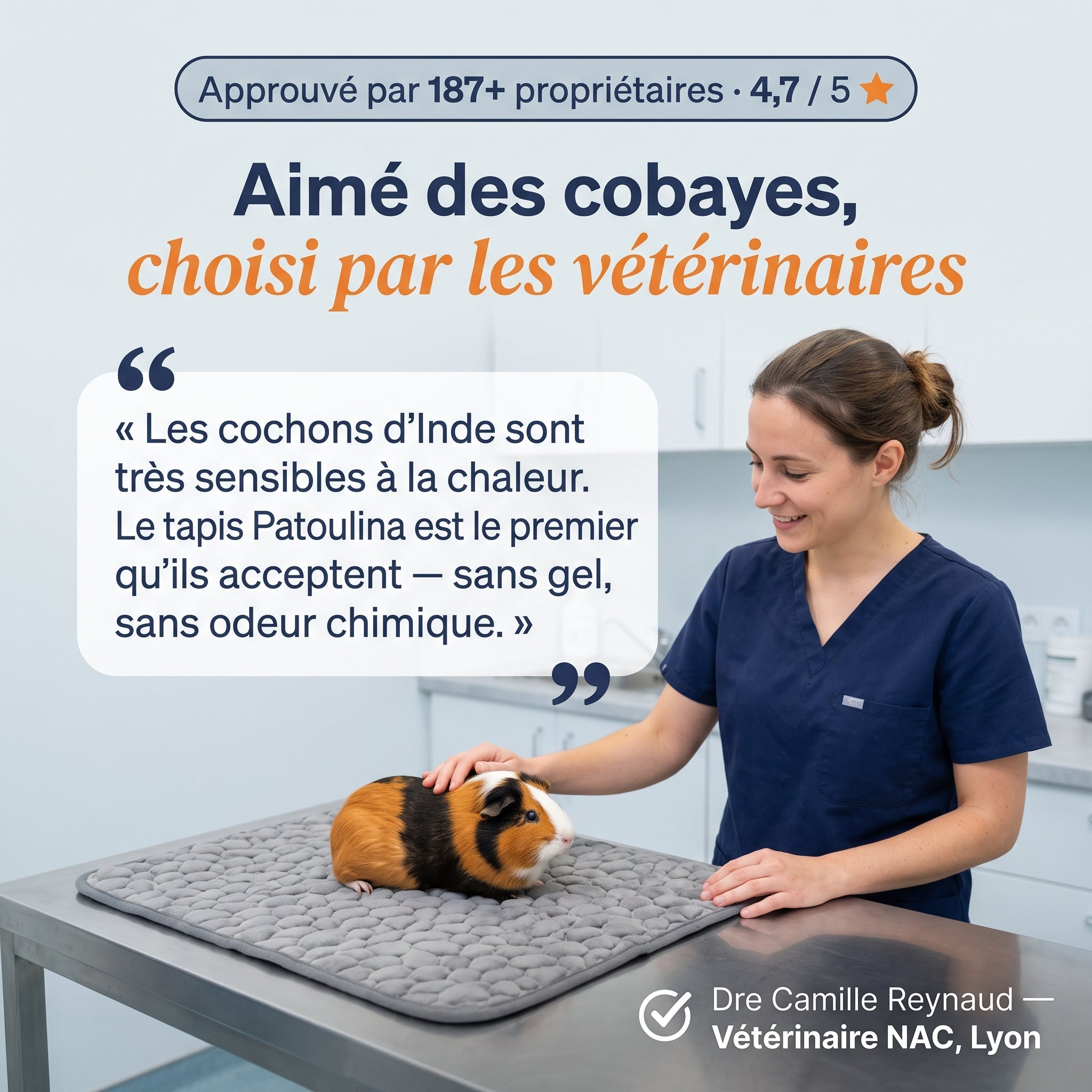 Patoulina cochon d'Inde — véto approuvé (Dre Reynaud, Lyon)