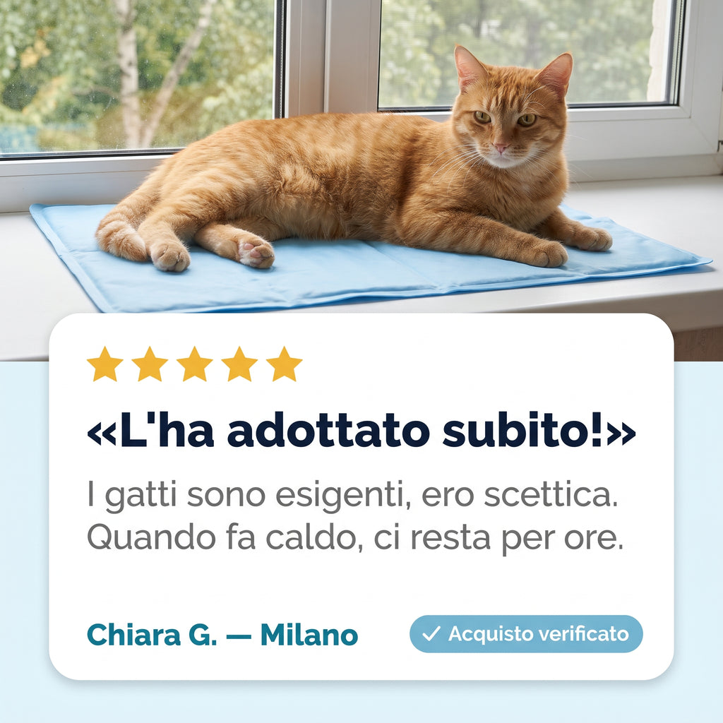 Taglie del tappetino in base al peso del gatto