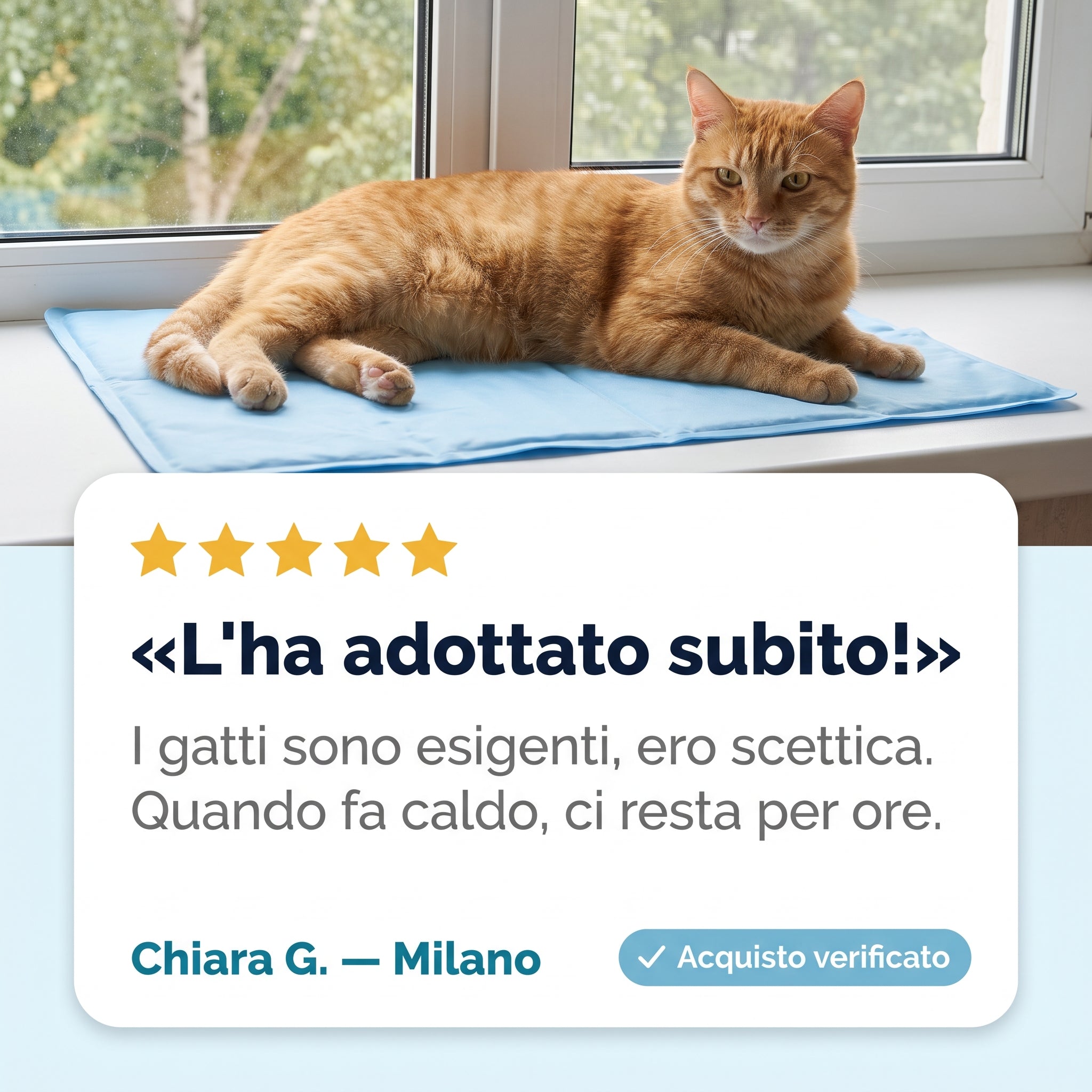 Taglie del tappetino in base al peso del gatto