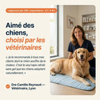 Patoulina chien — véto approuvé (Dre Reynaud, Lyon)