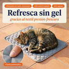 Patoulina gato — textil premium