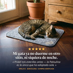 Patoulina gato — reseñas clientes