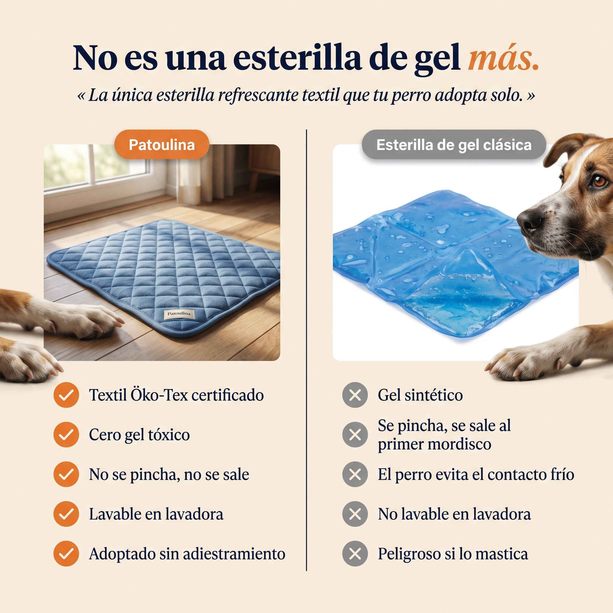 Patoulina perro — antes/después