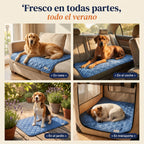Patoulina perro — usos multiples