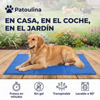 Estructura de tres capas sin gel