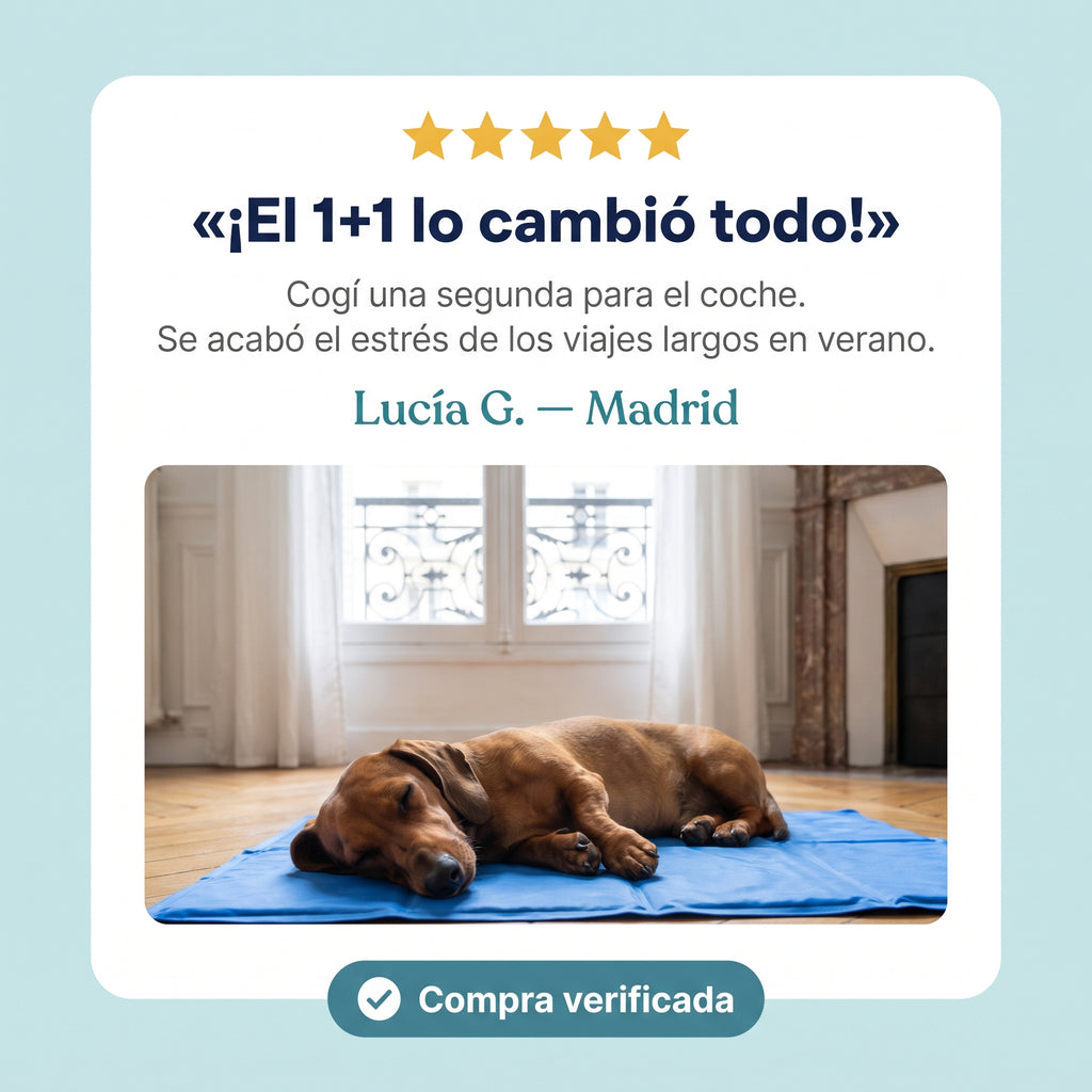 Esterilla refrescante para perros en varias tallas
