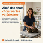 Patoulina chat — véto approuvé (Dre Reynaud, Lyon)