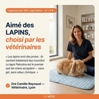 Patoulina lapin — véto approuvé (Dre Reynaud, Lyon)