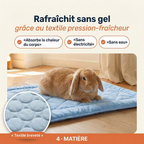 Patoulina lapin — Rafraîchit sans gel (textile breveté)