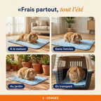 Patoulina lapin — Frais partout tout l'été (usages)