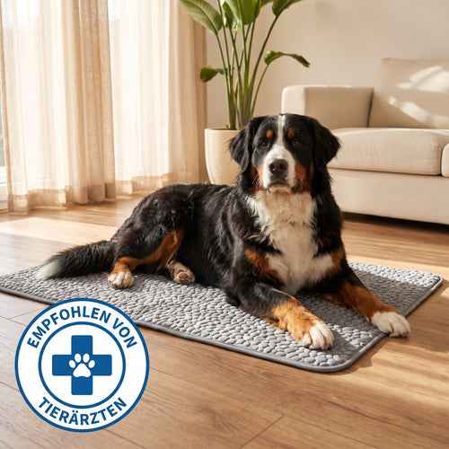 Patoulina Kühlmatte für Hunde