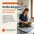 Patoulina gatto — raccomandato dai veterinari