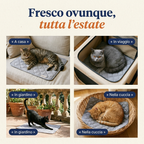 Patoulina gatto — usi multipli
