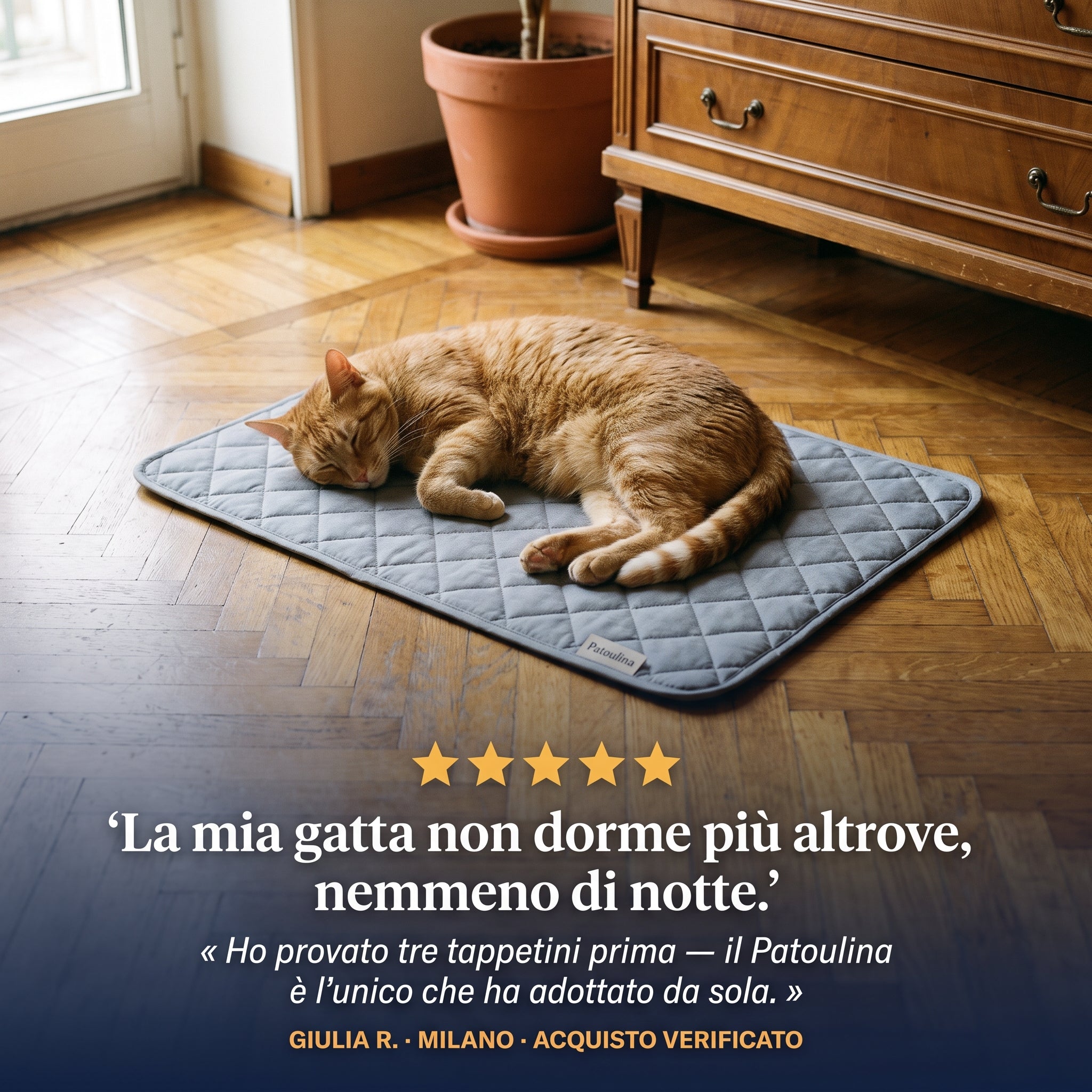 Patoulina gatto — recensioni clienti