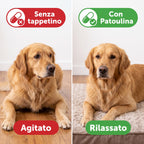 Tappetino traspirante per cani