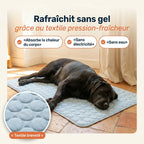 Patoulina chien — Rafraîchit sans gel (textile breveté)