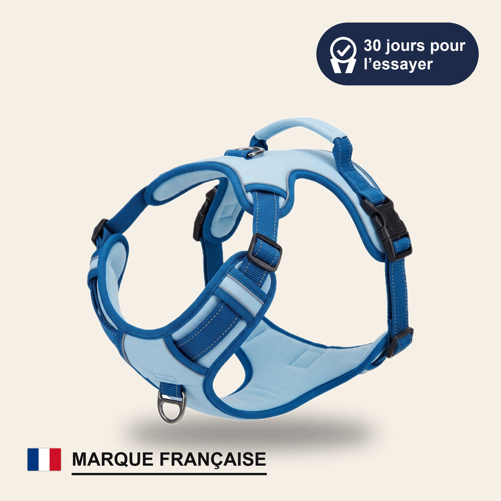 Harnais anti-traction Patoulina bleu glacier — 30 jours pour l'essayer, marque française