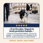 Avis clients sur le harnais anti-traction Patoulina