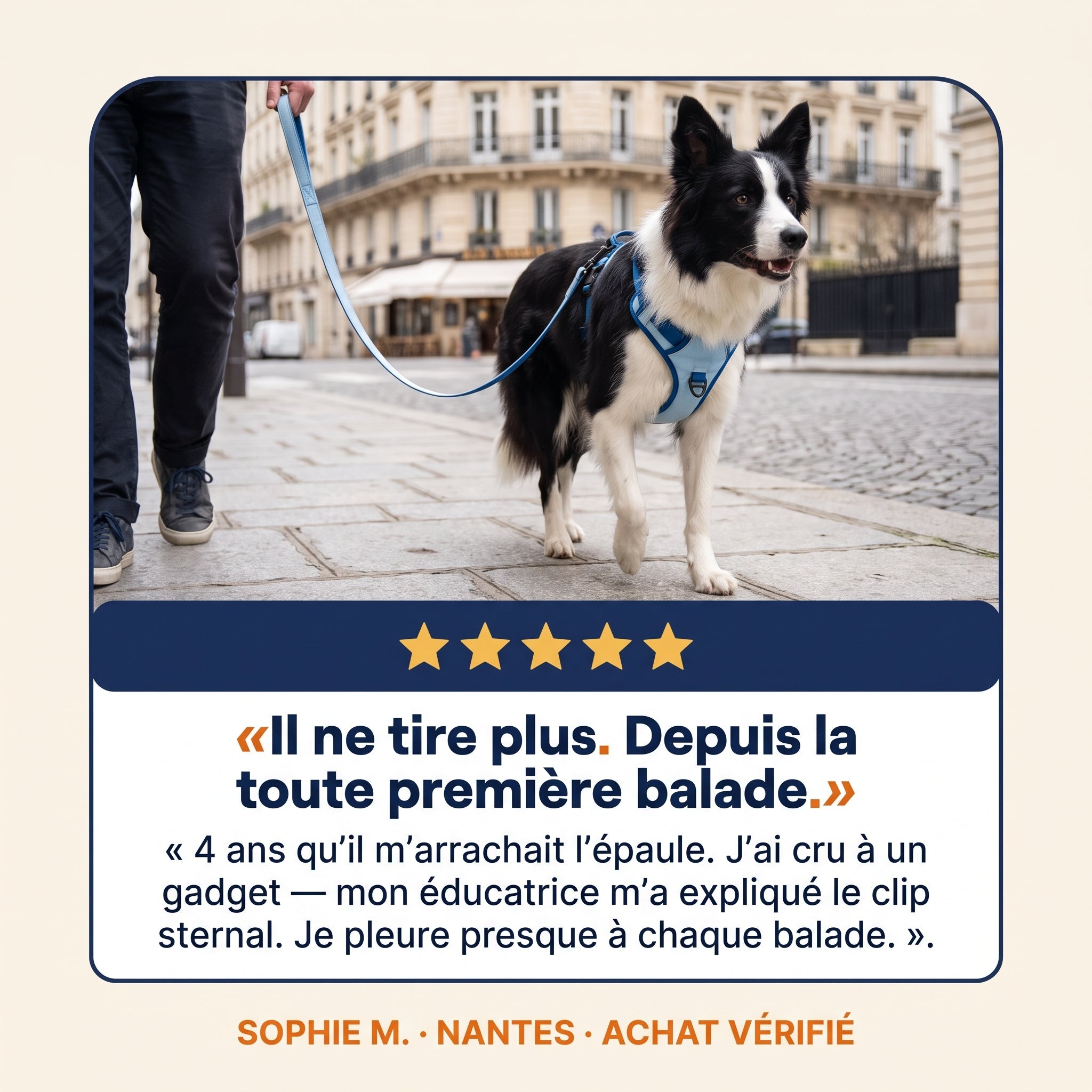 Avis clients sur le harnais anti-traction Patoulina