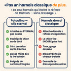 Infographie : le mécanisme de Redirection Sternale du harnais Patoulina